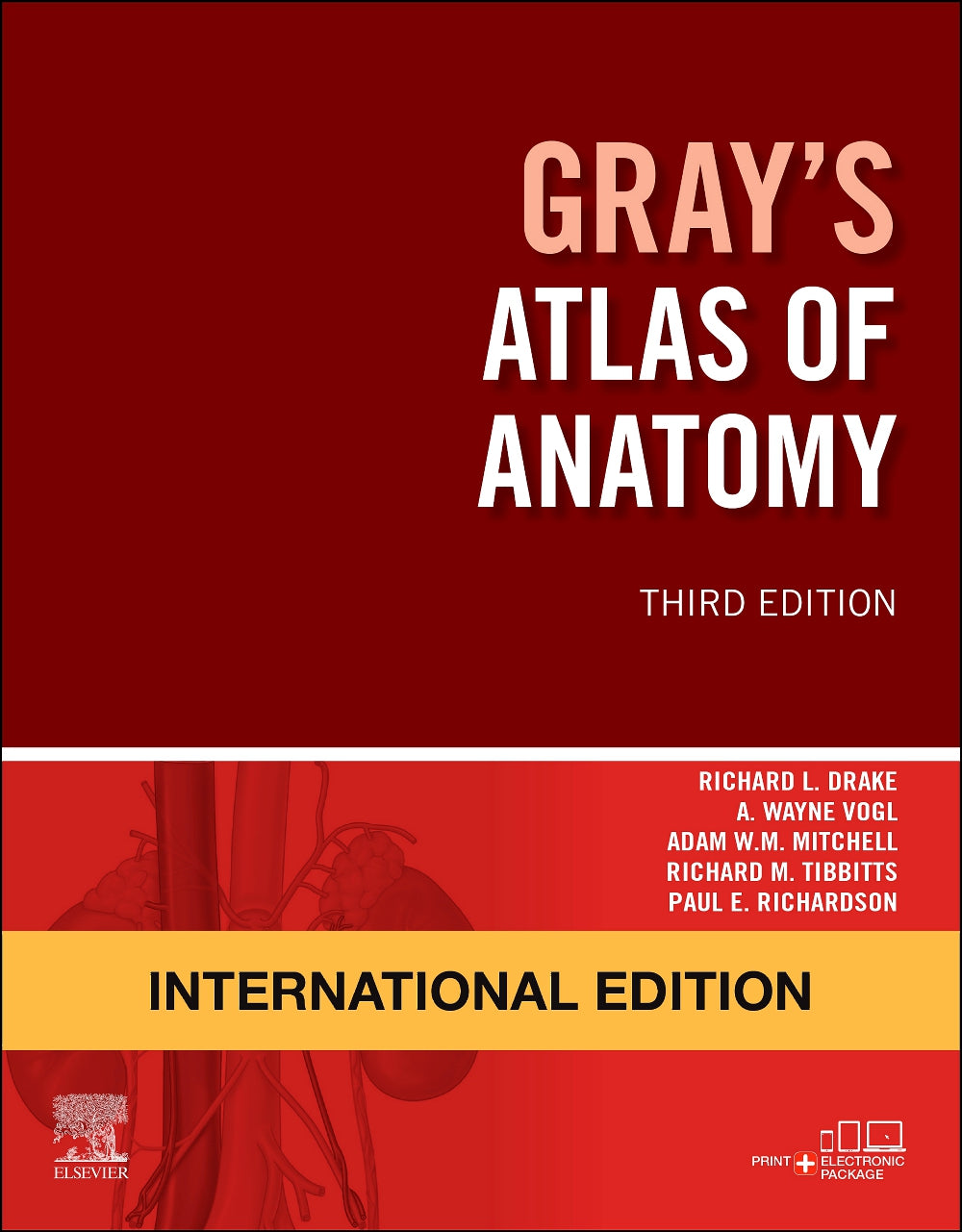 Gray's Atlas of Anatomy, International Edition, 3e