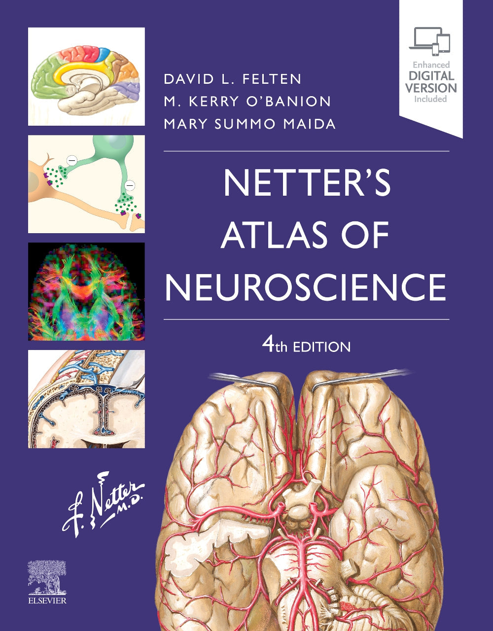 æNetter's Atlas of Neuroscience:æ 4ed