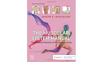The Muscular System Manual: The Skeletal Muscles of the Human Body - 5E