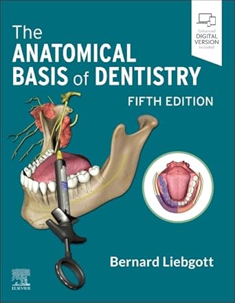 The Anatomical Basis of Dentistry - 5E