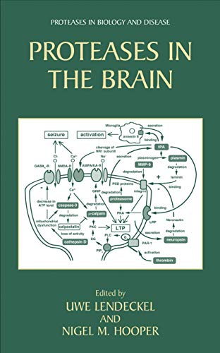 PROTEASES IN THE BRAIN