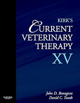 Kirks Current Vet Therapy XV-1E