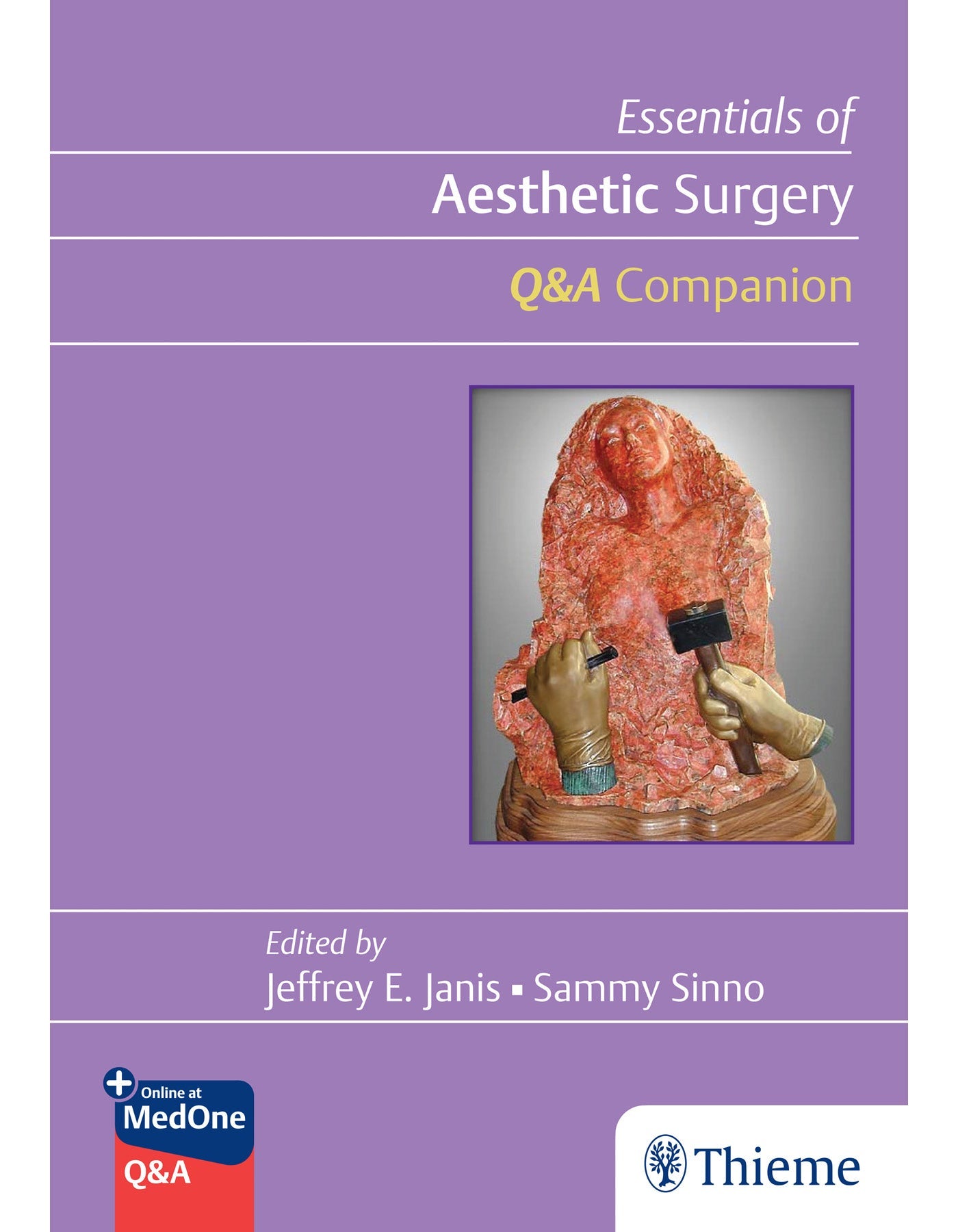 Essentials of Aesthetic Surgery Q+A Companion