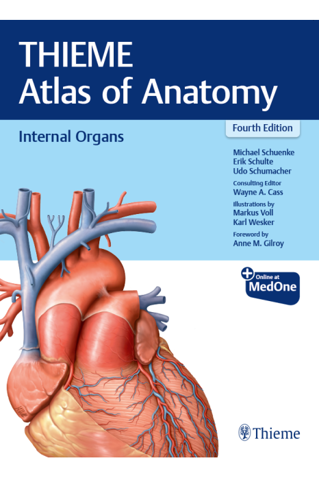 Internal Organs (THIEME Atlas of Anatomy)