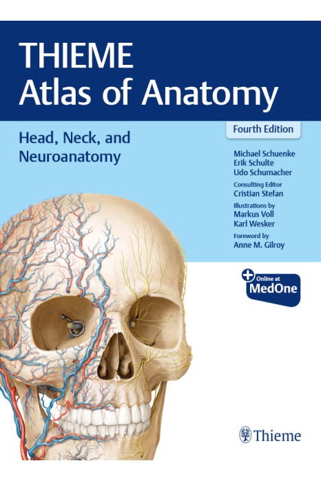 Head, Neck, and Neuroanatomy (THIEME Atlas of Anatomy)