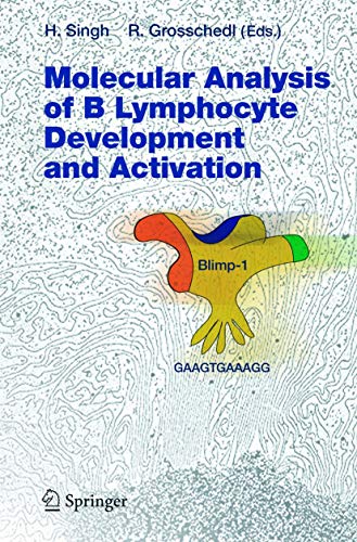 MOLECULAR ANALYSIS OF B LYMPHOCYTE DEVELOPMENT