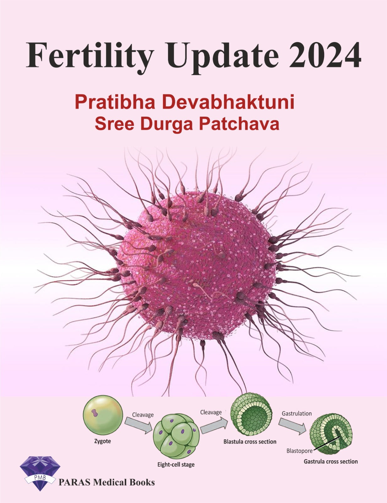 Fertility Update 2024