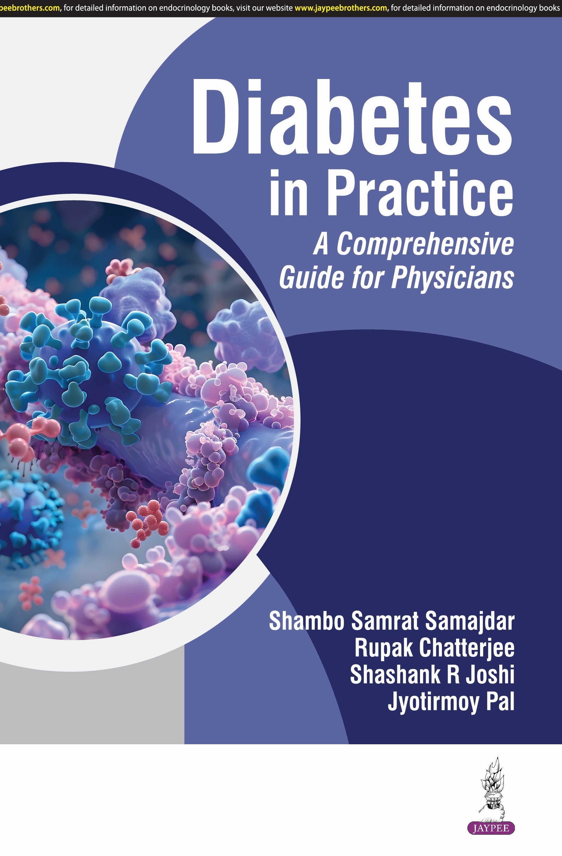 DIABETES IN PRACTICE A COMPREHENSIVE GUIDE FOR PHYSICIANS