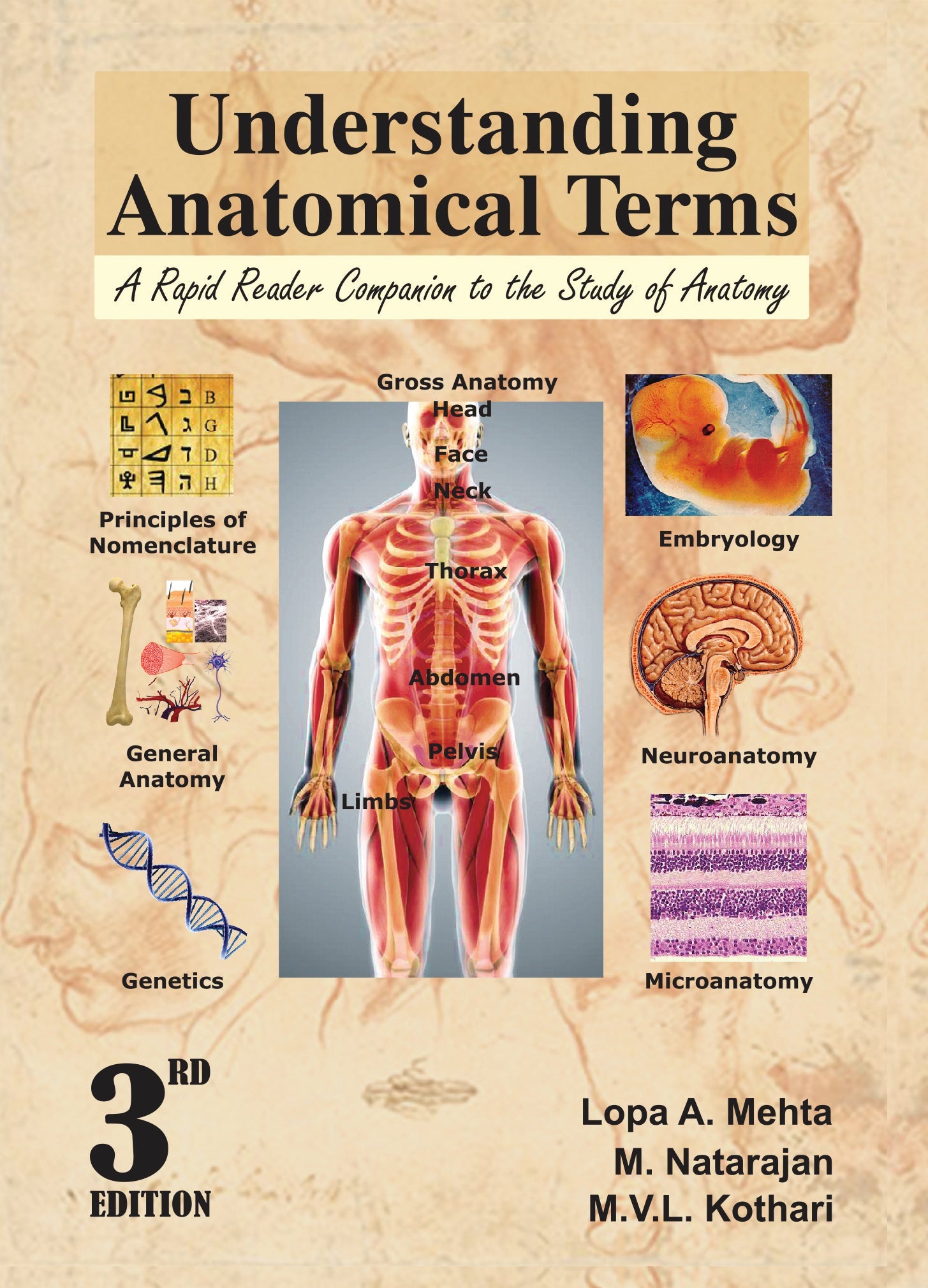 Understanding Anatomical Terms A Rapid Reader Companion To The Study Of Anatomy