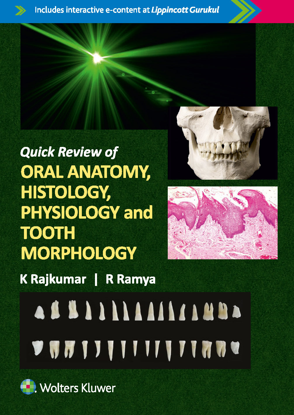 Quick Review of Oral Anatomy, Histology, Physiology and Tooth Morphology