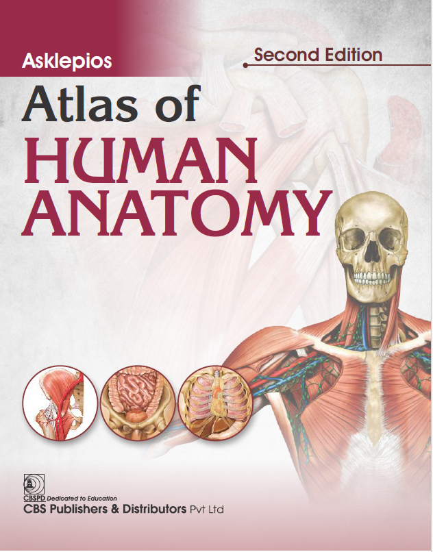 Atlas of Human Anatomy 2nd/2026